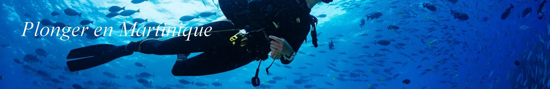 Plongée en Martinique