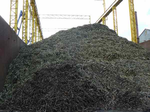 fabrique du sucre de canne