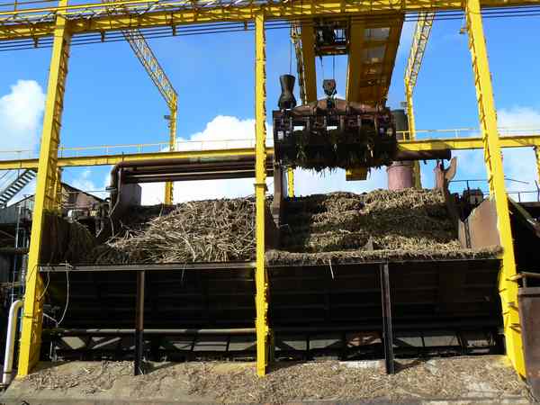 fabrique du sucre de canne