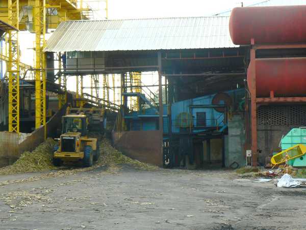 fabrique du sucre de canne