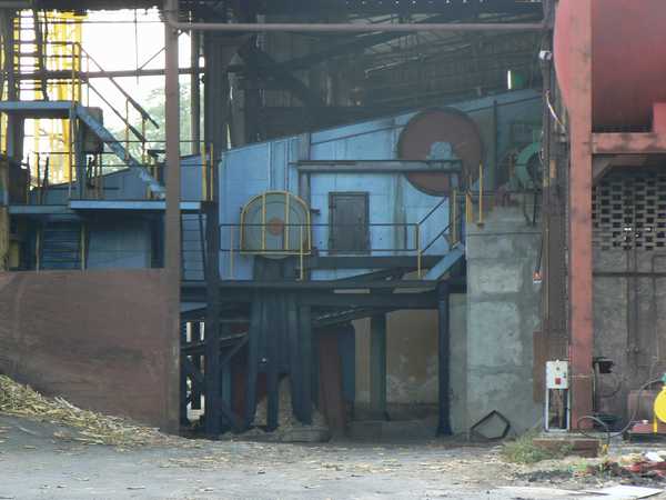 fabrique du sucre de canne