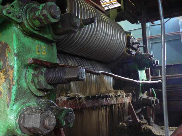 fabrique du sucre de canne