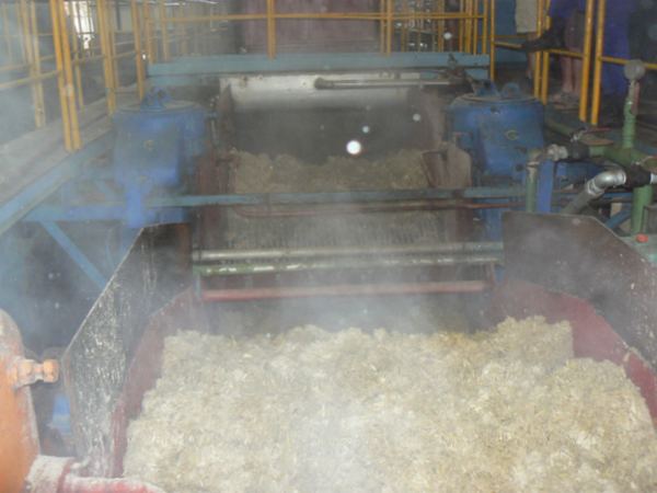 fabrique du sucre de canne