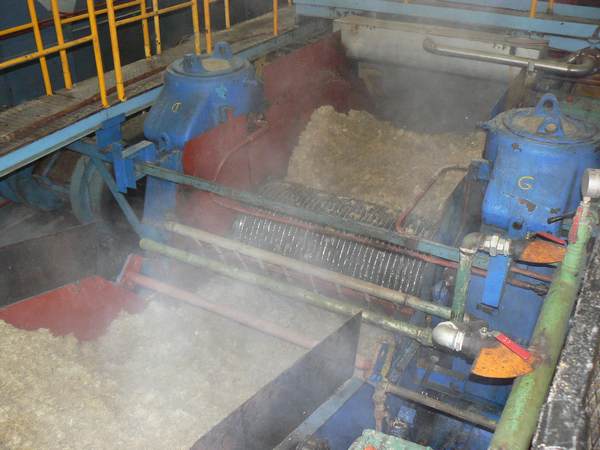 fabrique du sucre de canne