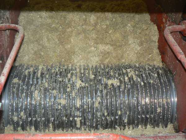 fabrique du sucre de canne