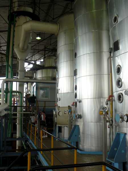 fabrique du sucre de canne