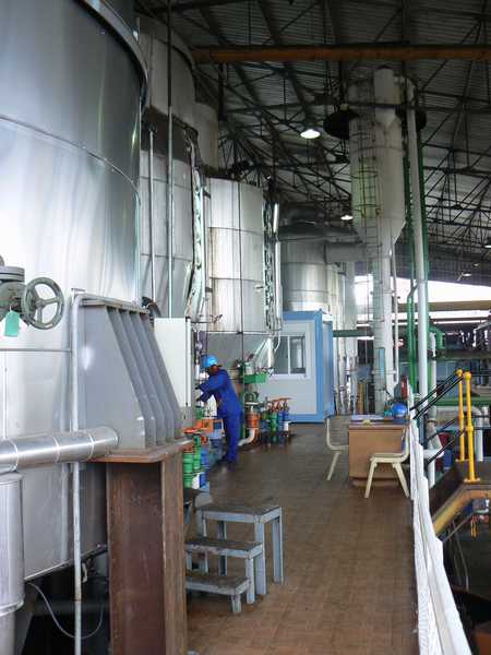 fabrique du sucre de canne