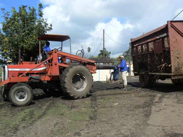 fabrique du sucre de canne