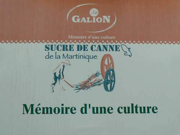 fabrique du sucre de canne