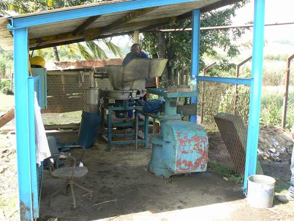 fabrique du sucre de canne