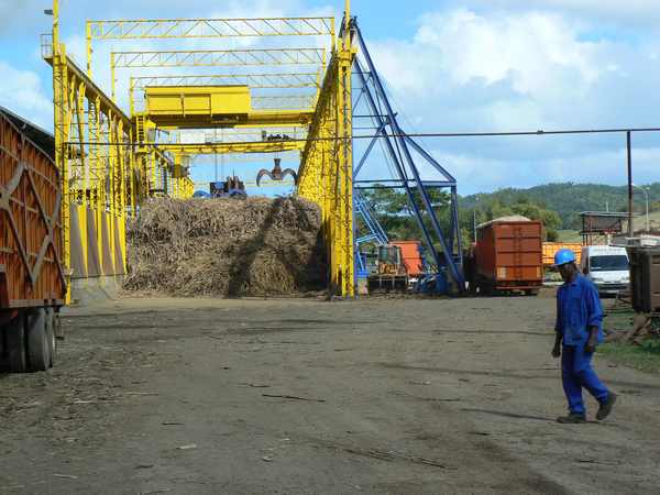fabrique du sucre de canne