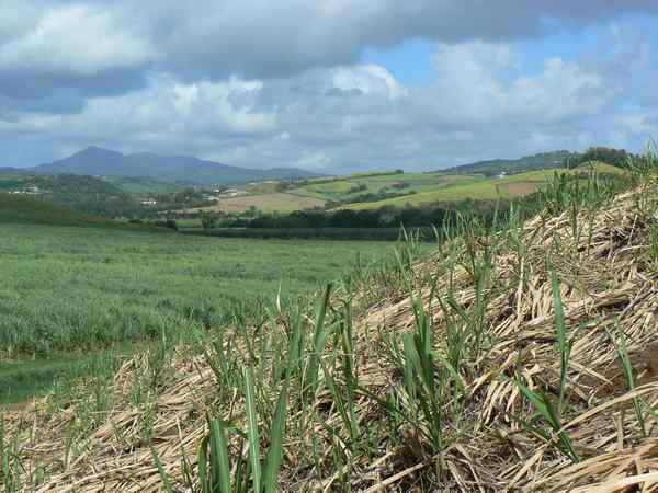 Habitation Bord de Mer