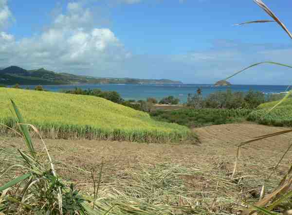 Habitation Beauséjour