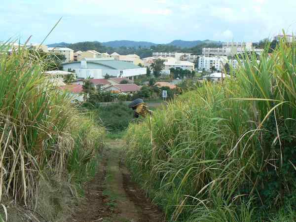 Habitation Beauséjour