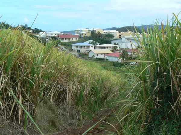 Habitation Beauséjour
