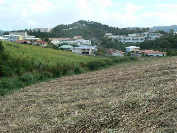 Habitation Beauséjour