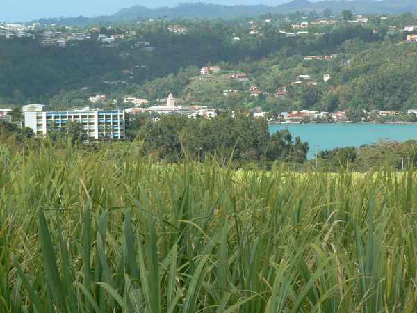 Habitation Beauséjour