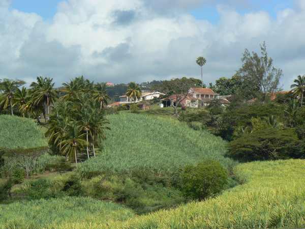 L'Habitation Desmarinières