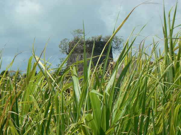 Habitation Beauséjour, le moulin