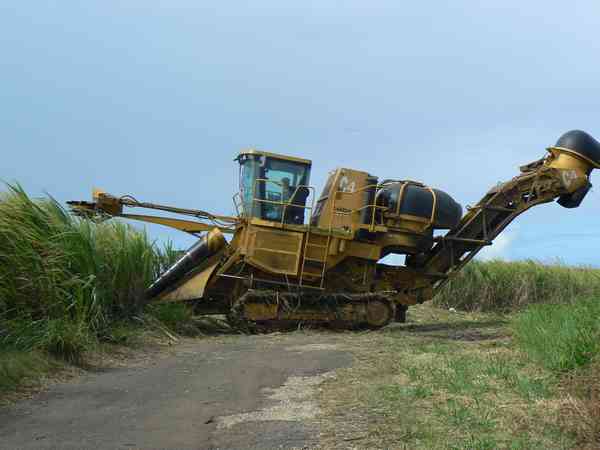 Récolte mécanisée