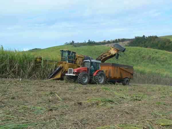 Récolte mécanisée