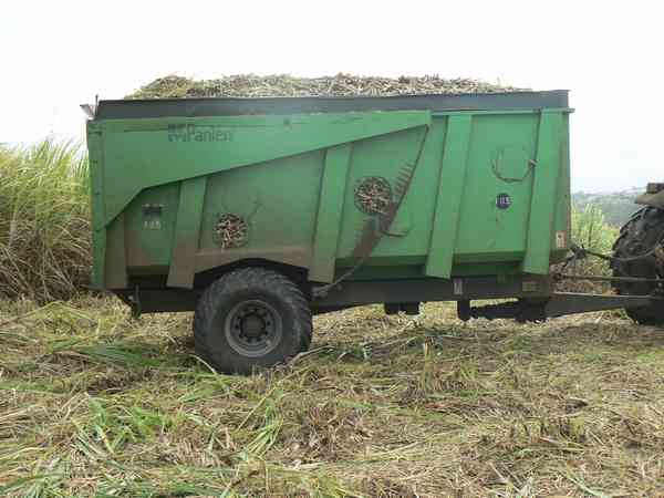 Récolte mécanisée