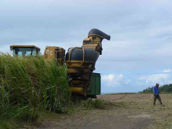 Récolte mécanisée