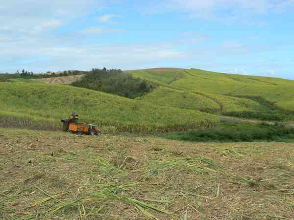 Récolte mécanisée